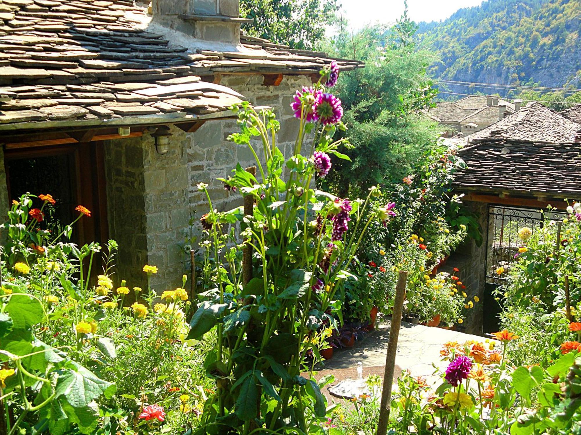 Guesthouse Gouris Tsepelovo Exterior photo